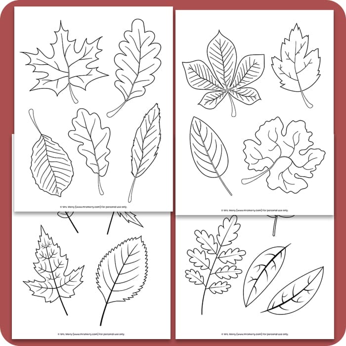 Free printable fall leaves coloring pages mrs merry