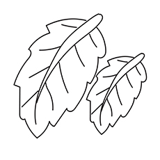 Top free printable leaf coloring pages online