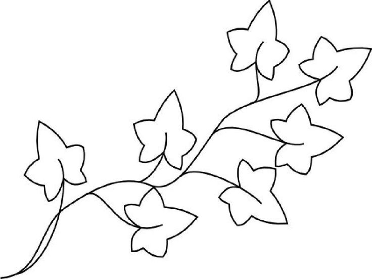 Ivy coloring pages