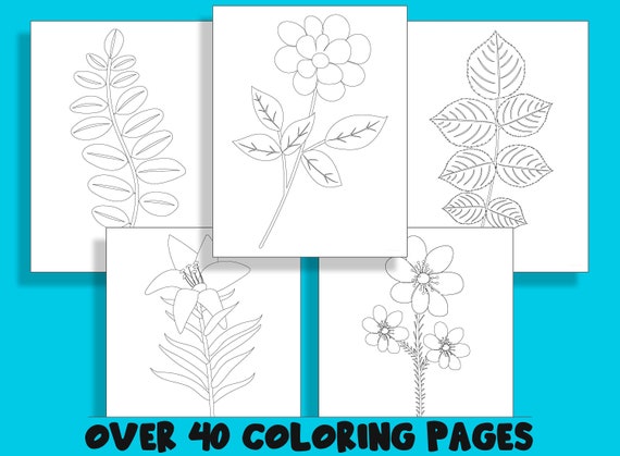 Flowers leaves coloring book printable coloring pages for kids a fun way for kids of all ages to develop creativity focus motor skills