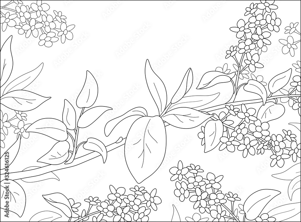 Beautiful tree branch with leaves and spring flowers black and white vector cartoon illustration for a coloring book page vector