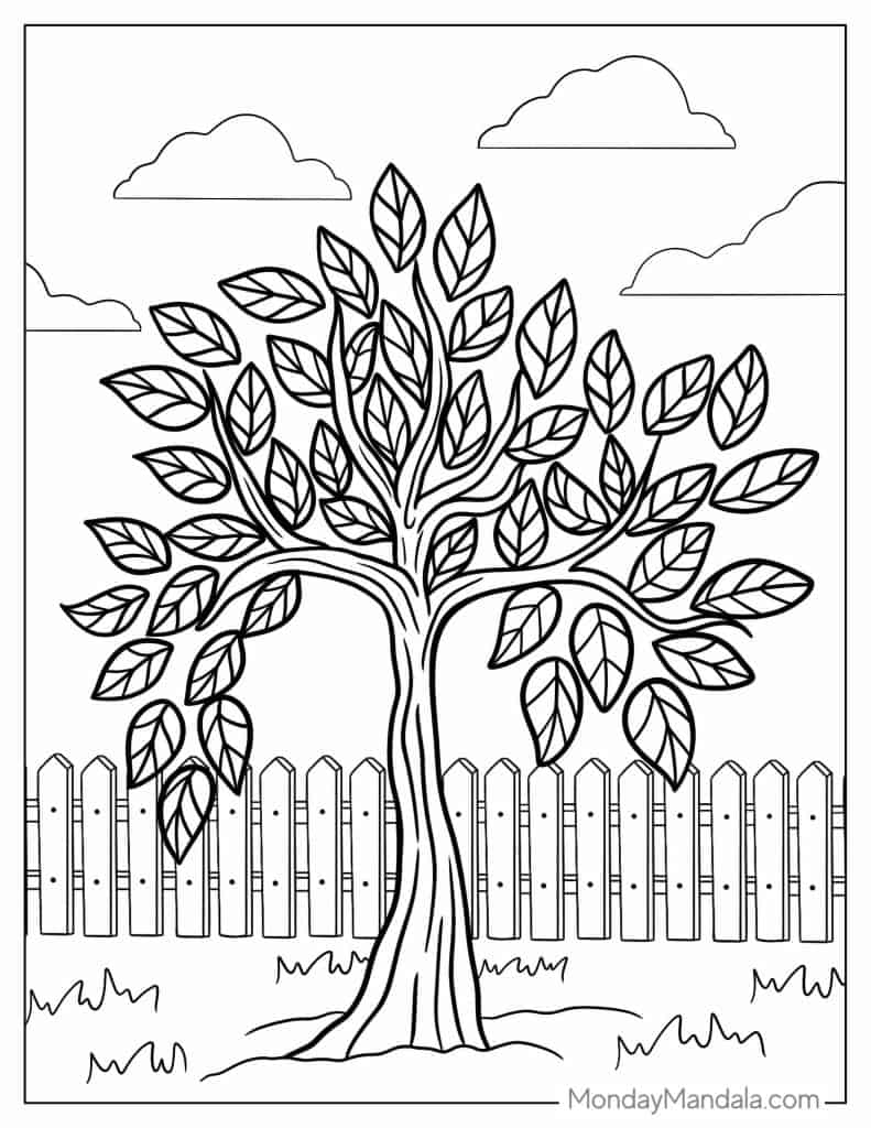 Tree coloring pages free pdf printables