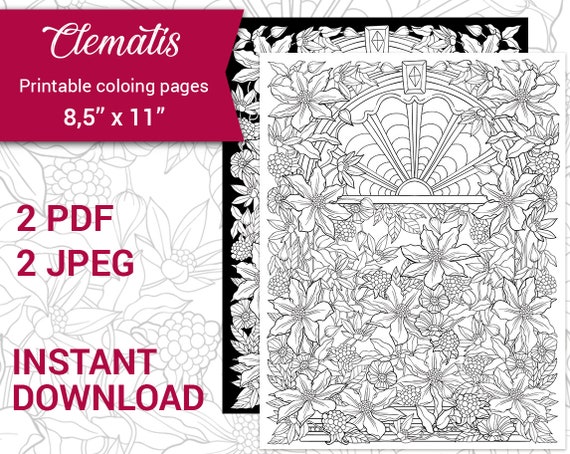 Pdf jpeg printable adult coloring page botanical printable coloring page clematis flowers spring summer flowers and leaves coloring