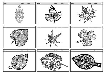 Products spring activities leaves flowers calming coloring pages bundle