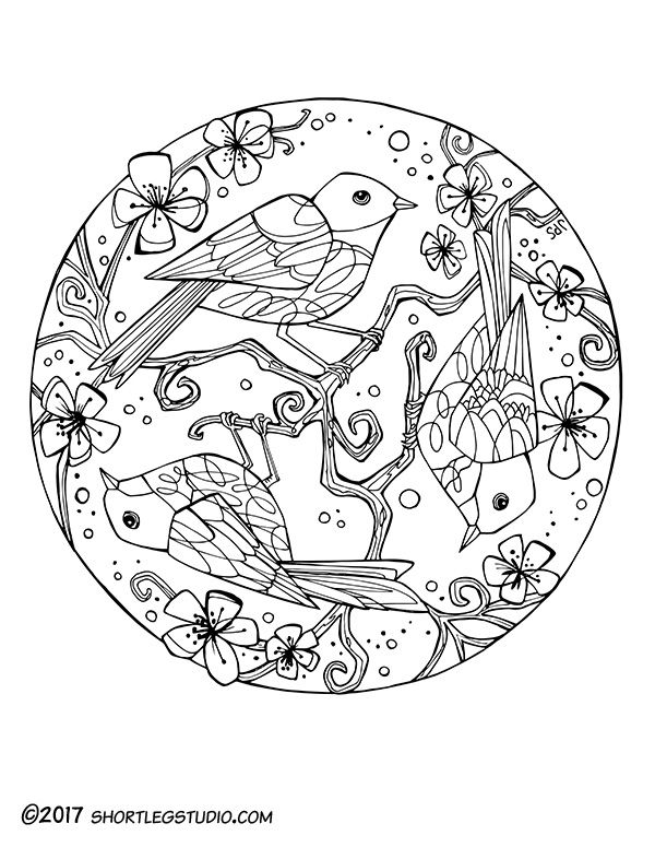 Happy spring coloring sheet â short leg studio bird coloring pages meditative coloring mandala coloring pages