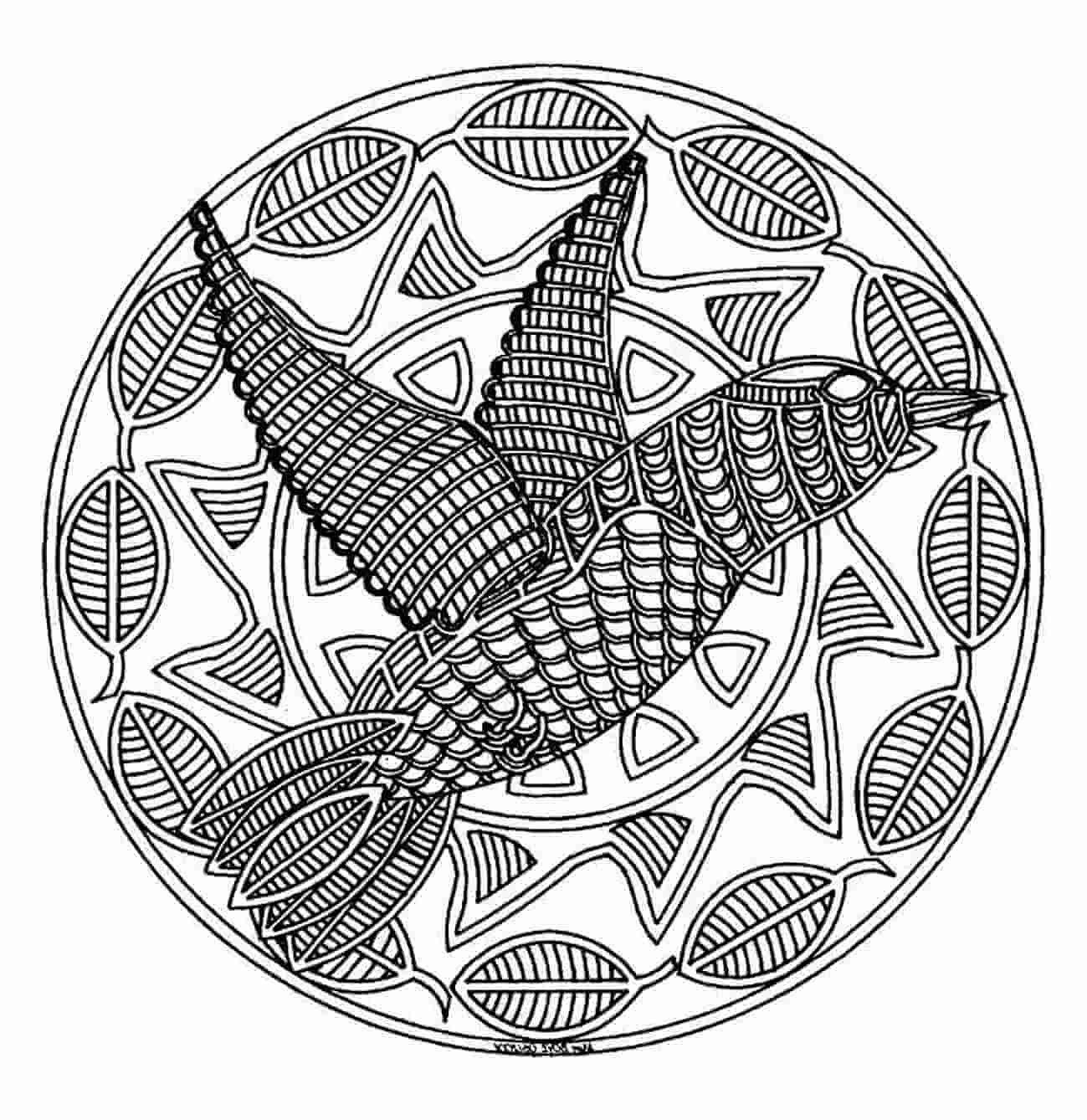 Bird in spring mandala coloring page