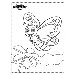 Butterfly coloring pages butterfly puzzles activity center â clearview butterfly zoo