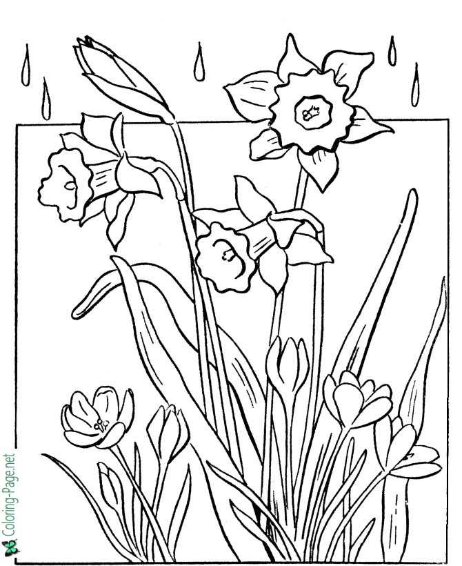 Spring coloring pages