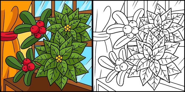 Premium vector christmas poinsettia coloring page illustration