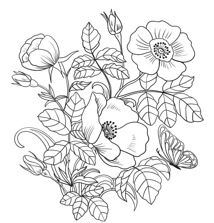 Places to find free printable spring coloring pages