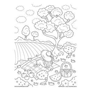 Coloring pages for summer