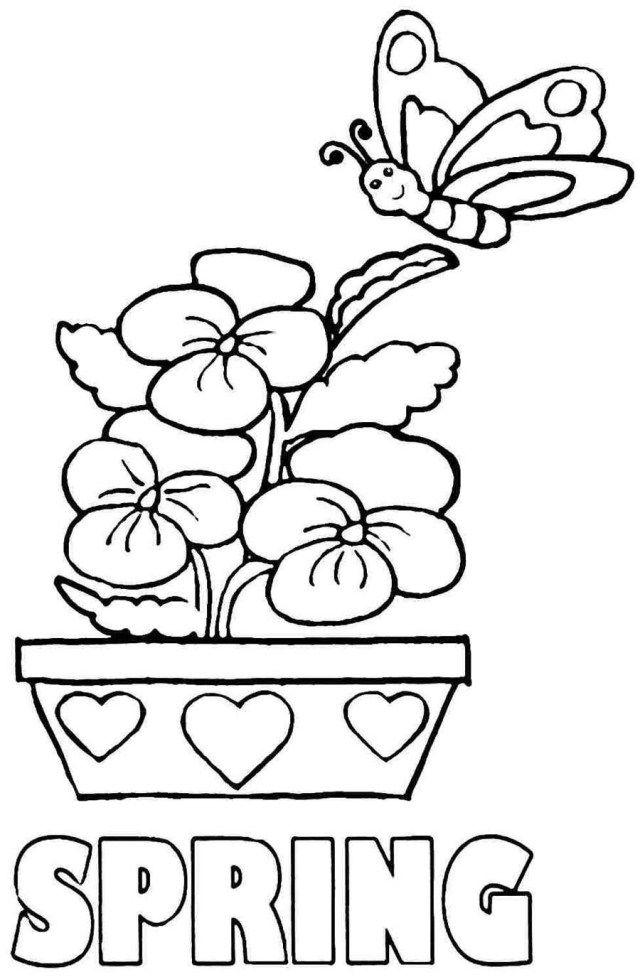 Elegant image of coloring pages spring