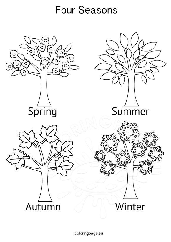 Seasons activities four seasons tree coloring page