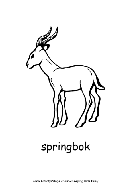 Springbok louring page heritage day south africa african art projects south africa art