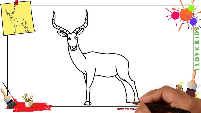 Springbok drawing how to draw springbok antelope drawing step by step drawing tutorials art