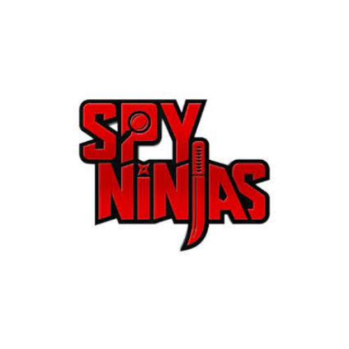 Spy ninjas