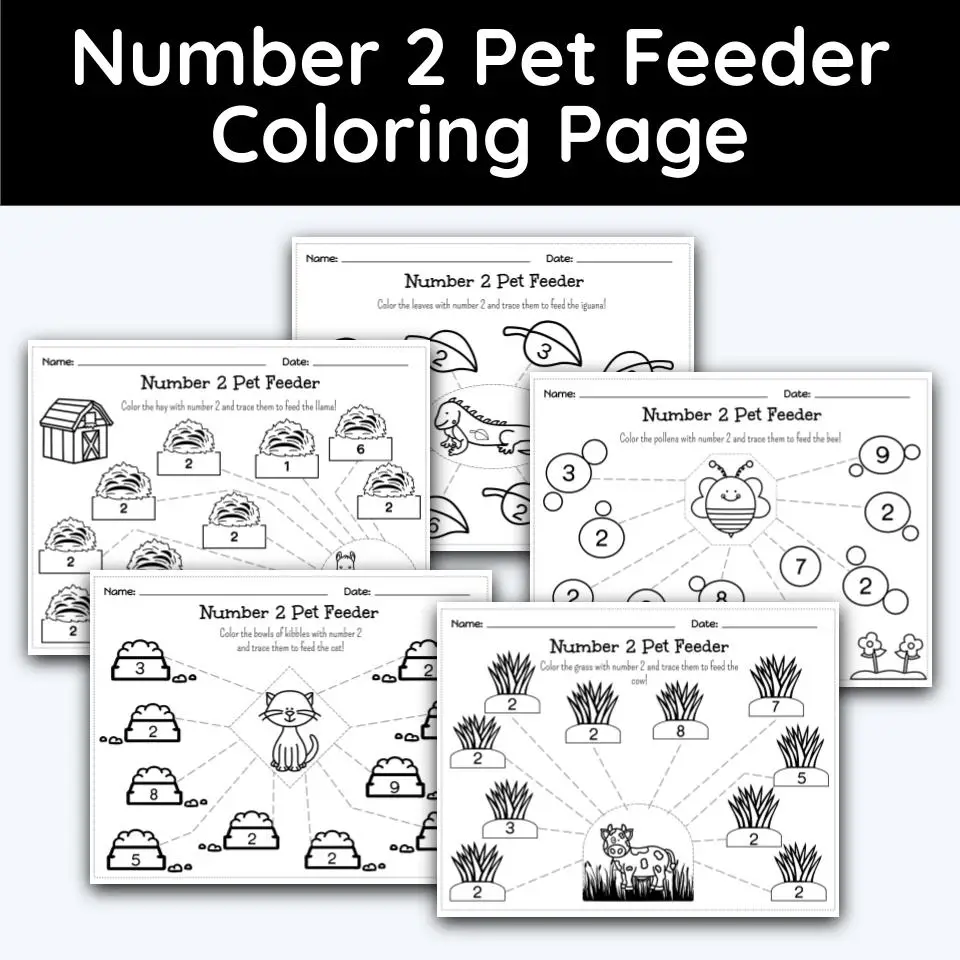 Number pet feeder coloring page