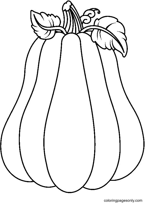 Pumpkin coloring pages printable for free download