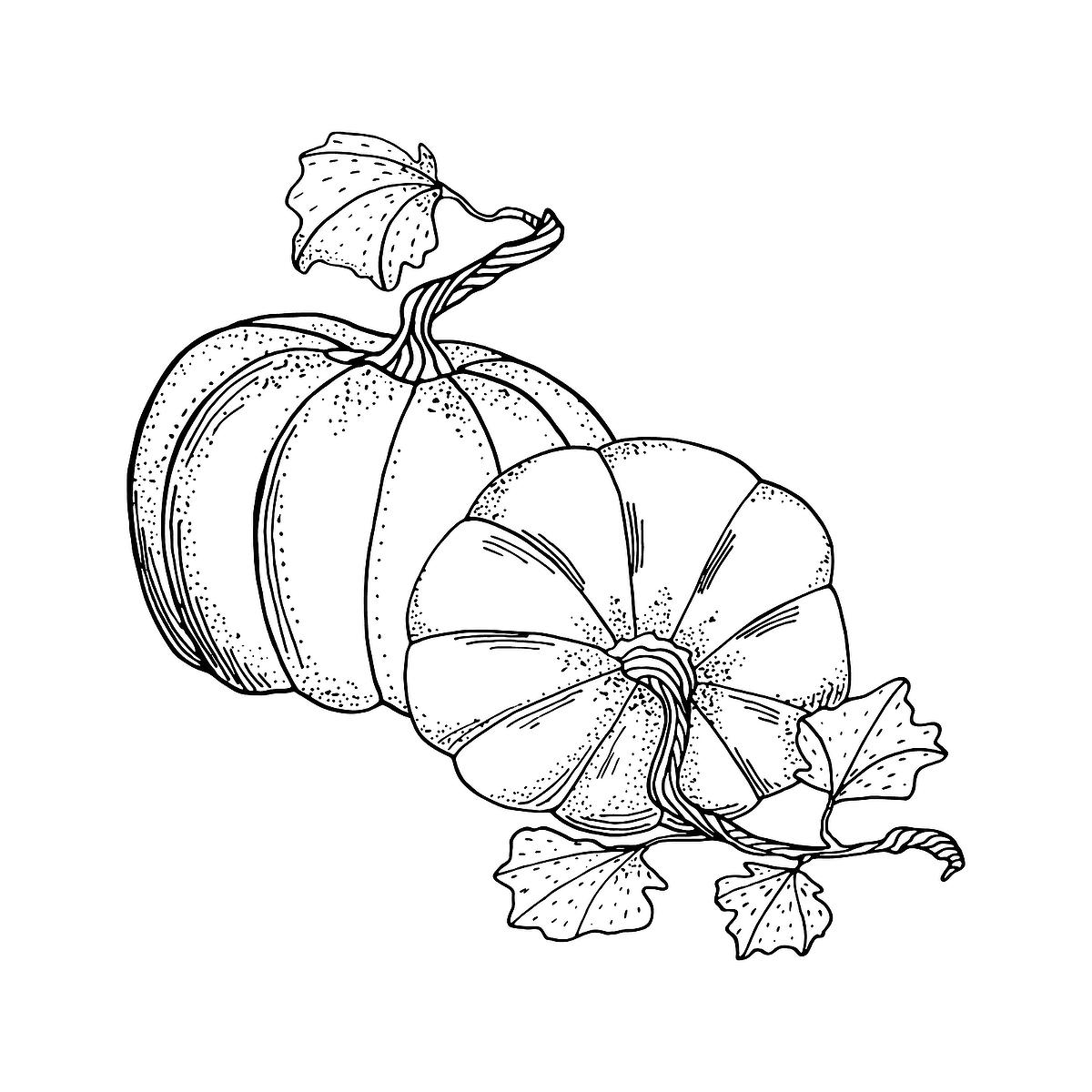 Pumpkin coloring pages free fun printable coloring pages of pumpkins that celebrate fall printables mom