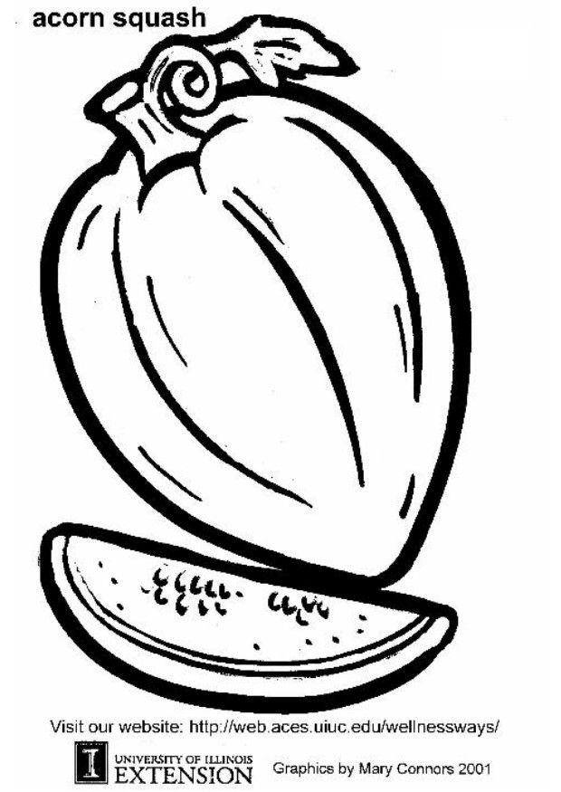 Coloring page acorn squash