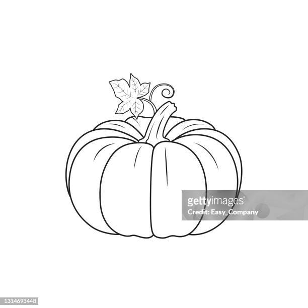 Vector illustration of pumpkin isolated on white background organic vegetables and fruits cartoon concepts education and school kids coloring page printable activity worksheet flashcard high