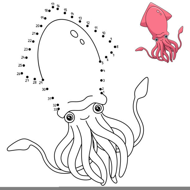 Squid coloring page stock illustrations royalty