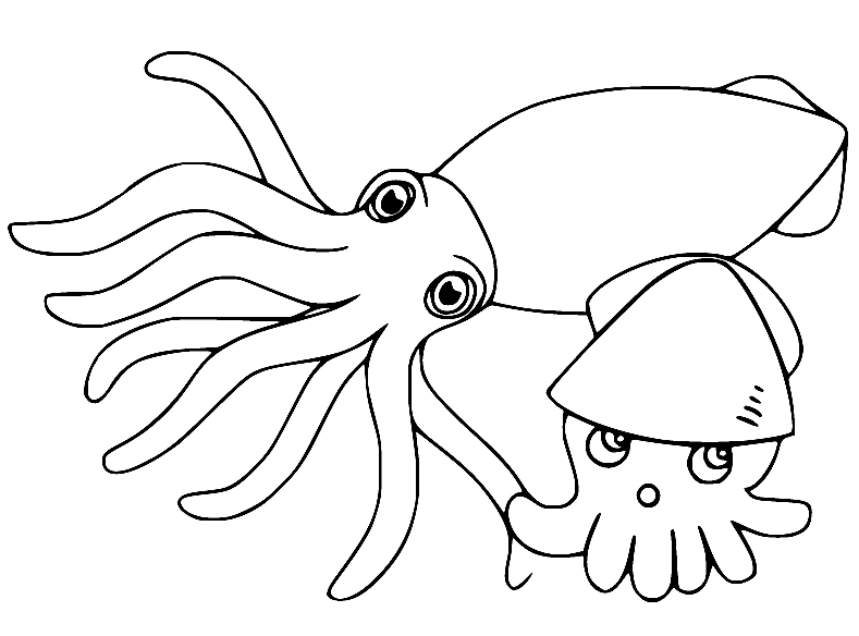 Squid coloring pages printable for free download