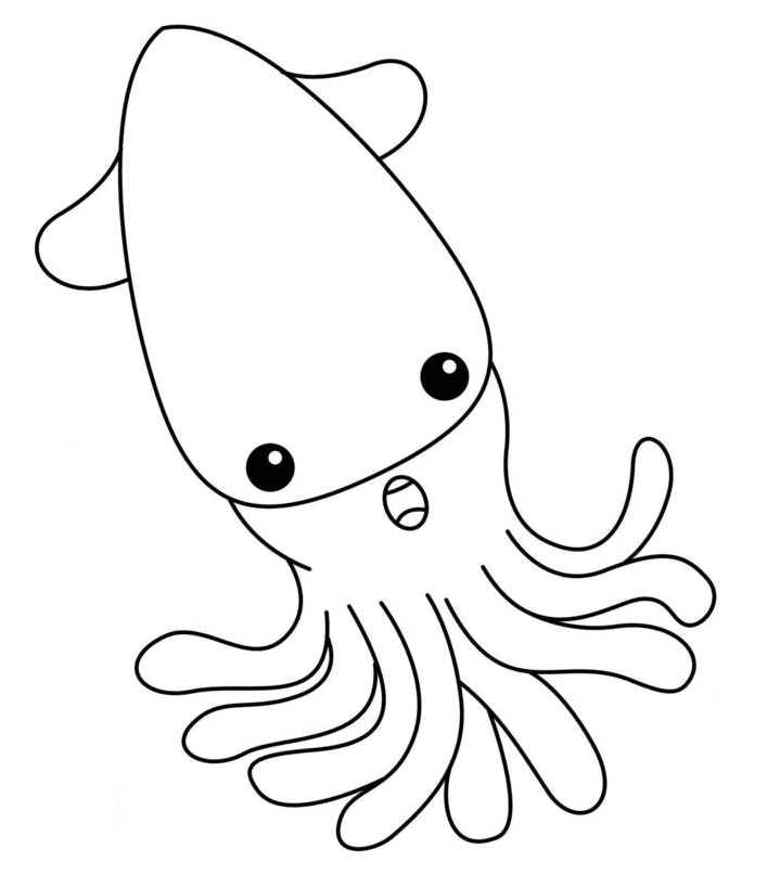 Squid coloring pages printable for free download