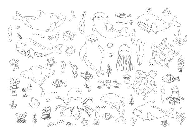 Squid coloring page stock illustrations royalty