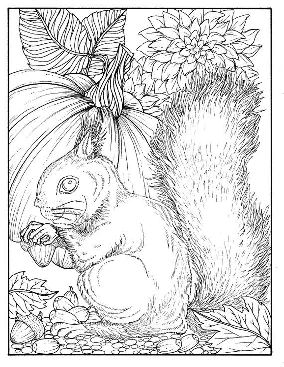 Fall squirrel digital coloring page digi stamp download now