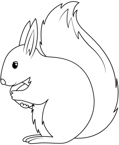 Squirrel coloring page free printable coloring pages