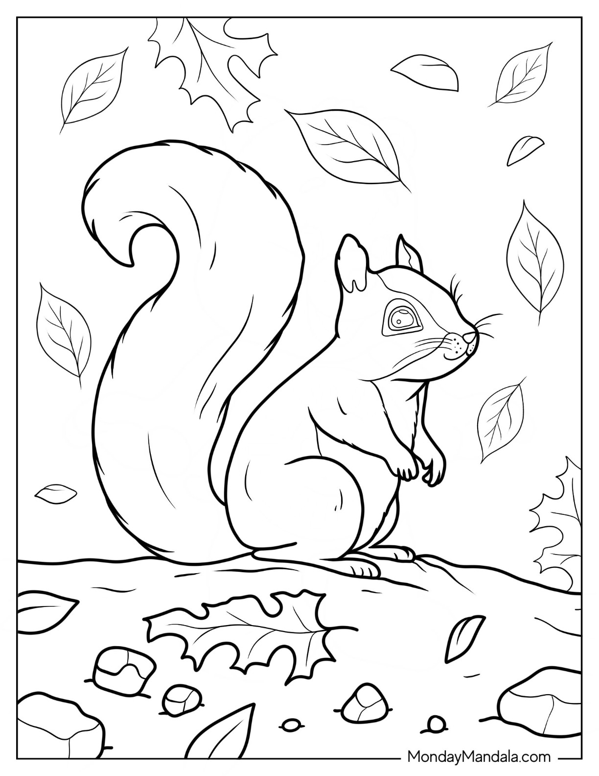 Squirrel coloring pages free pdf printables