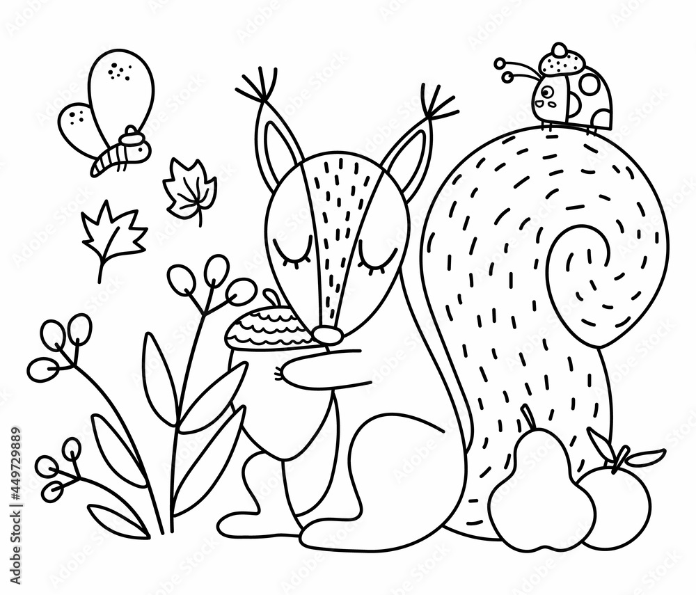 Black and white squirrel with acorn insects fruits vector outline autumn scene with adorable animal fall season woodland scenery or coloring page funny forest line illustration vector