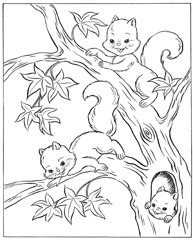 Squirrel coloring page