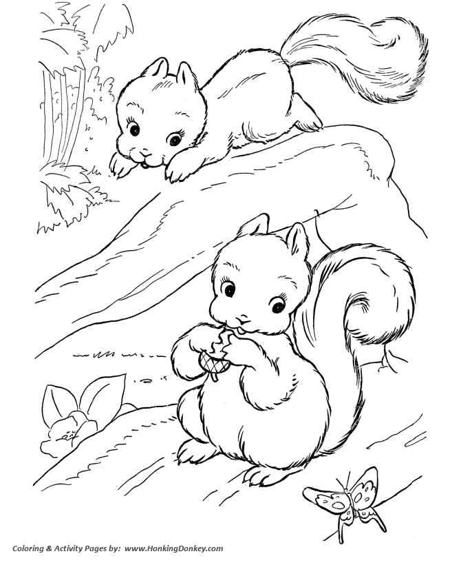 Playful squirrels coloring pages squirrel coloring page and kids activity sheet