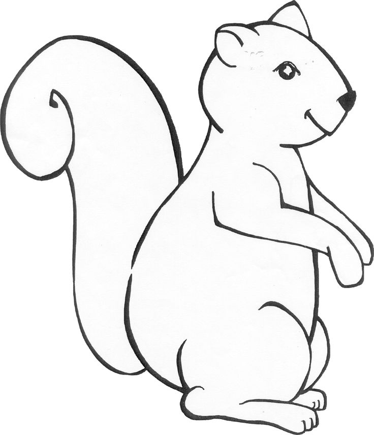 Squirrel squirrel coloring page preschool crafts fall animal coloring pages