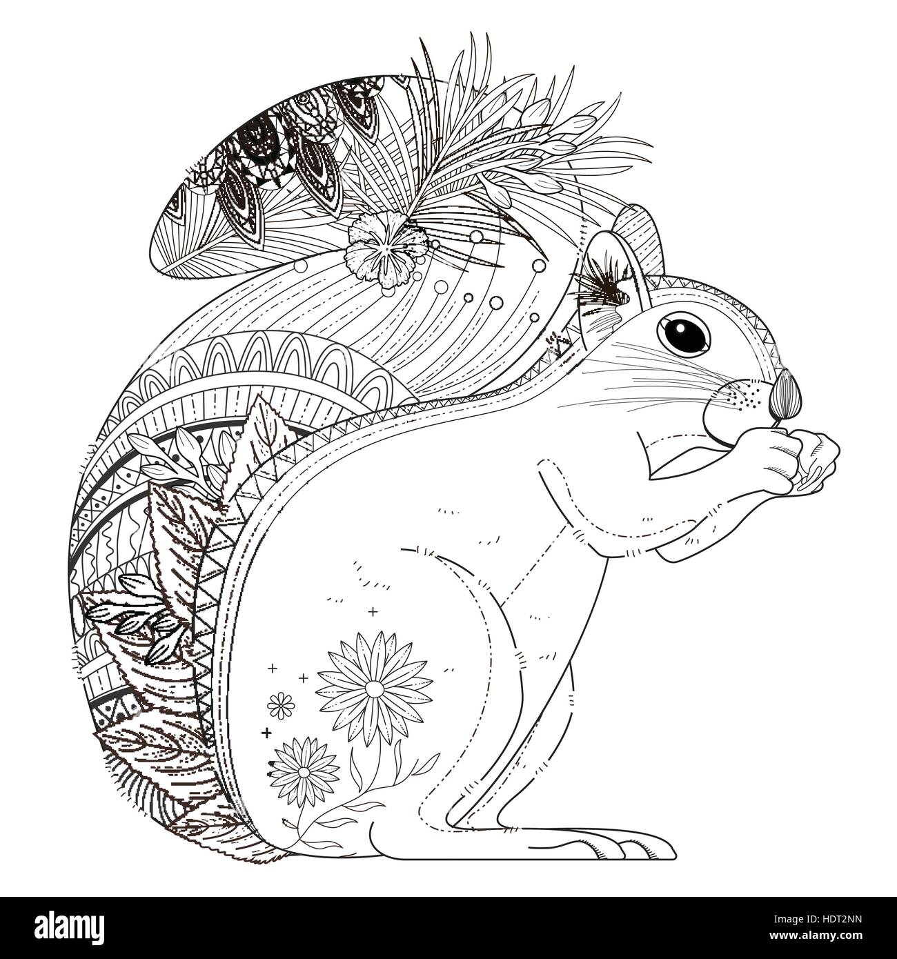 Gorgeous squirrel cut out stock images pictures