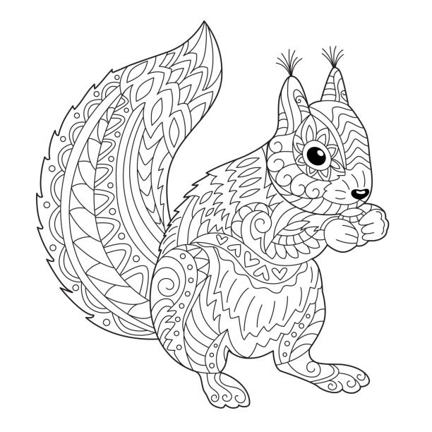 Squirrel coloring pages stock illustrations royalty