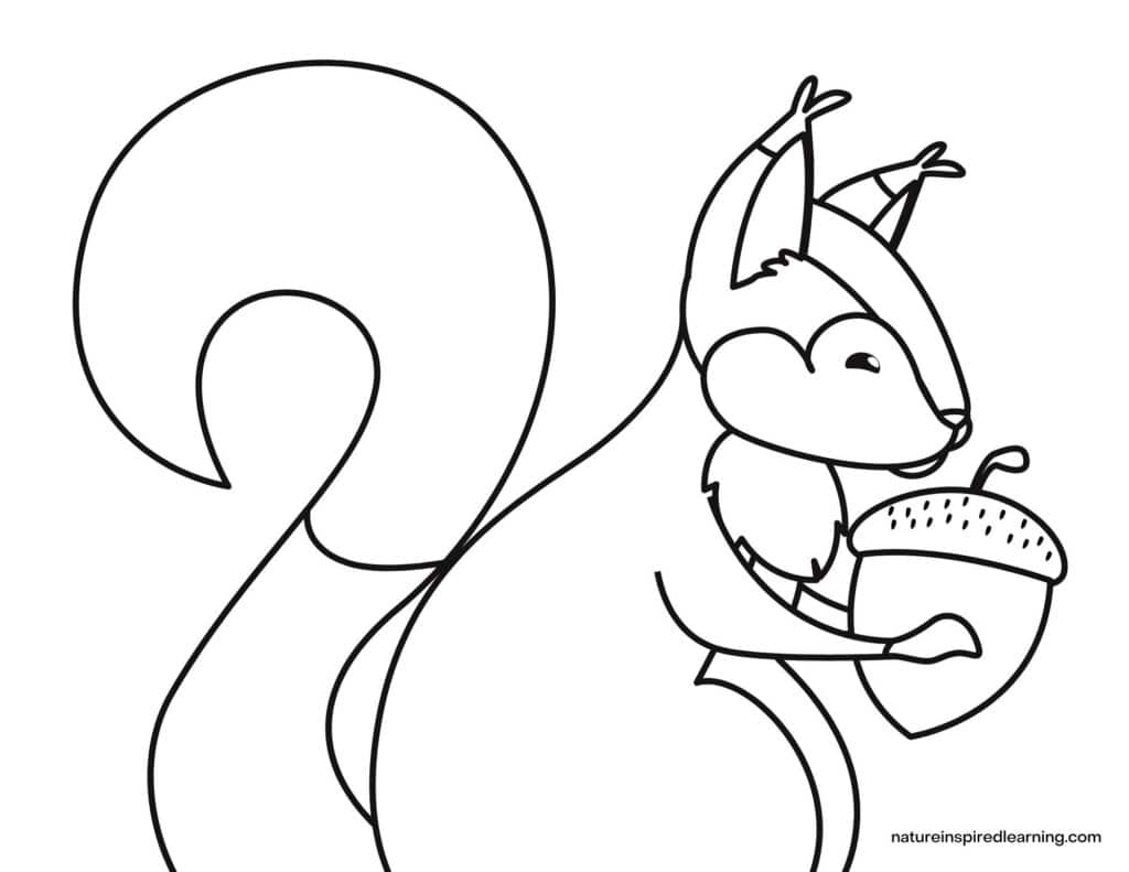 Acorn coloring pages perfect for autumn