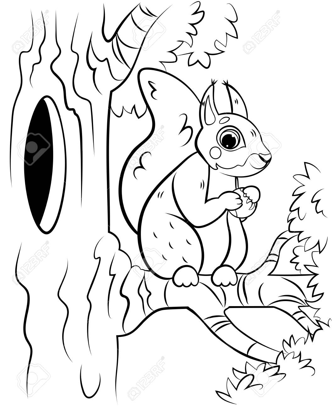 Printable coloring page outline of cute cartoon squirrel on tree with hazelnut vector image with forest background coloring book of forest wild animals for kids royalty free svg cliparts vectors and stock