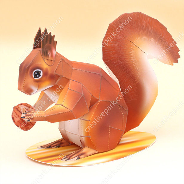 American red squirrel