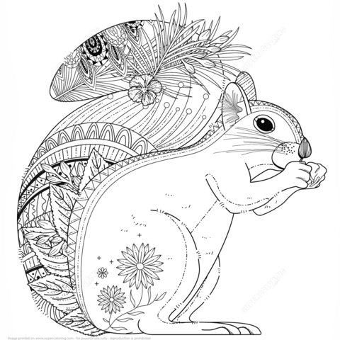 Squirrel zentangle coloring page free printable coloring pages