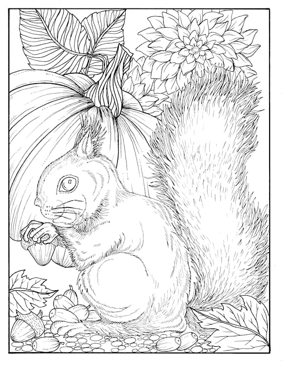 Fall squirrel digital coloring page digi stamp thanksgiving adult coloring stamp pumpkin autumn leaves color page download now