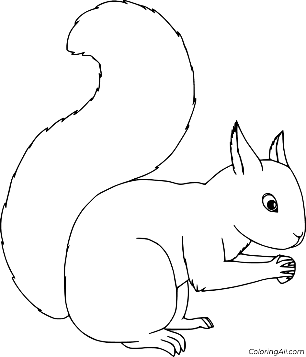 Free printable squirrel coloring pages easy to print from any device and automatically fit any paper size squirrel coloring page squirrel squirrel art