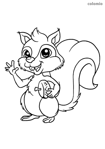 Squirrels coloring pages free printable squirrel coloring sheets