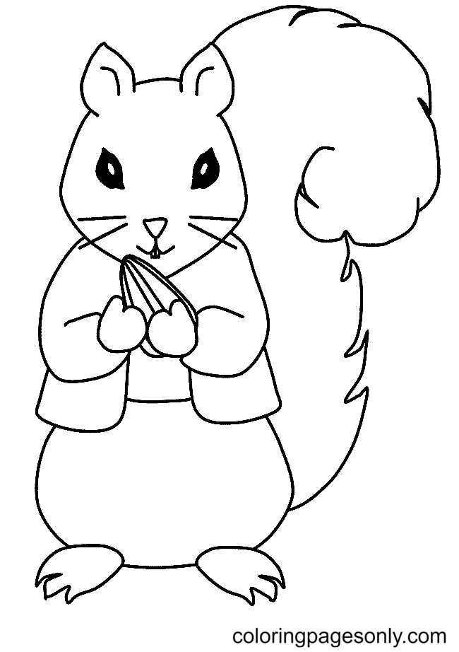 Squirrel coloring pages printable for free download