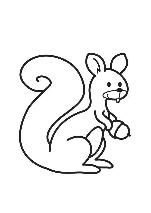 Coloring page squirrel