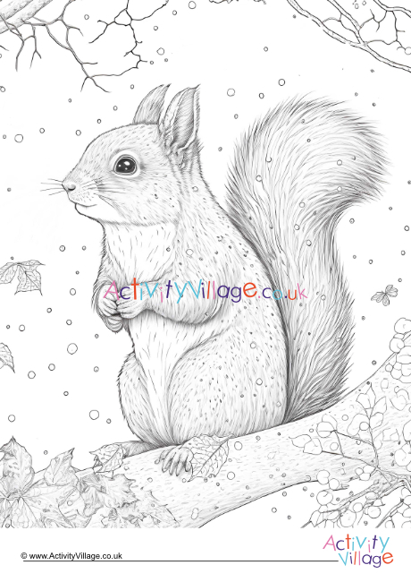 Winter squirrel louring page