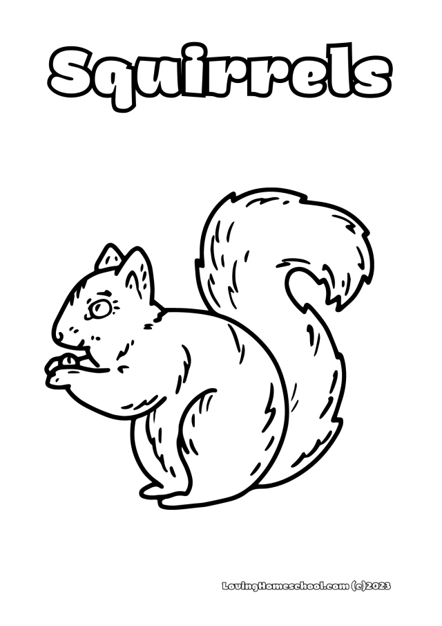 Free squirrel coloring pages