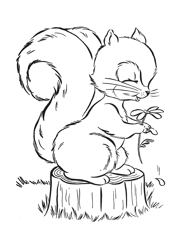 Squirrel coloring page